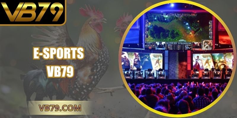 e-sports vb79