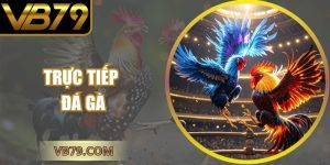 trực tiếp đá gà